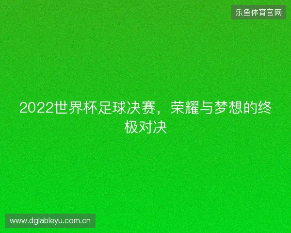 2022世界杯足球决赛，荣耀与梦想的终极对决