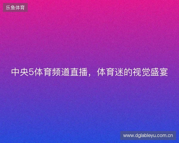 中央5体育频道直播，体育迷的视觉盛宴
